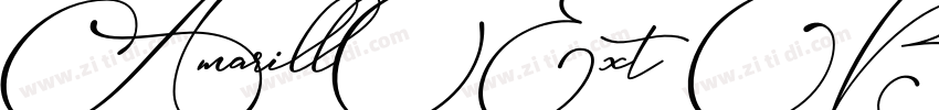 AmarillExt Bold字体转换